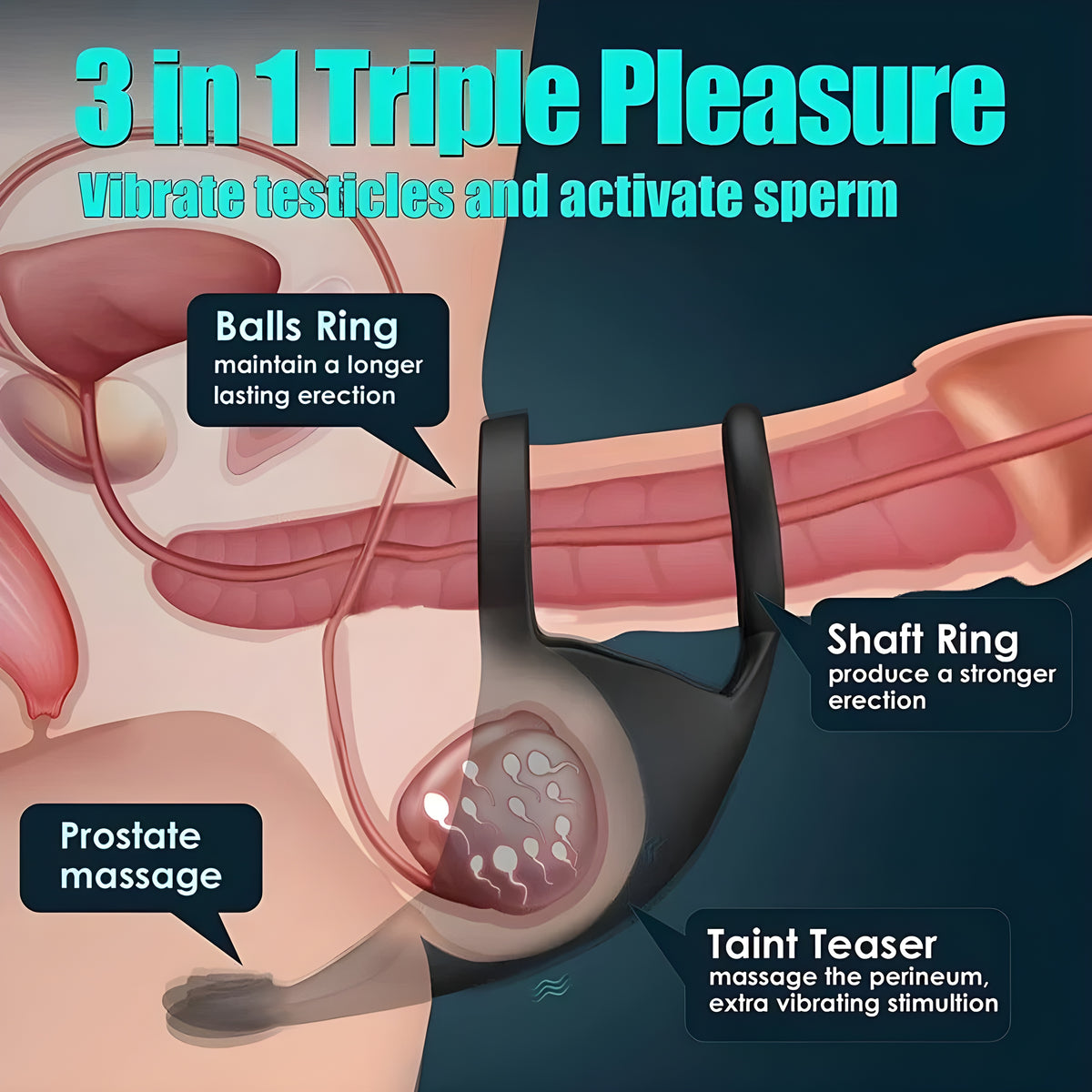 App-controlled Cock Ring Penis Trainer Vibrator Testicle Stimulator with 9 Vibration Modes
