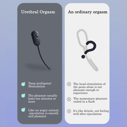 Deep Urethral Dilator Trainer Vibrator Penis Plug with 10 Vibration Modes
